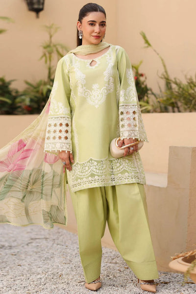 ELEGANT DHANK SUIT WITH HEAVY NECK EMBROIDERY & PRINTED SHAWL -MG